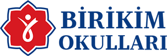 Birikimokullari