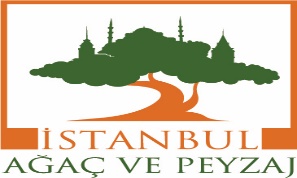 Istanbulagac
