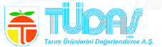 Tudas